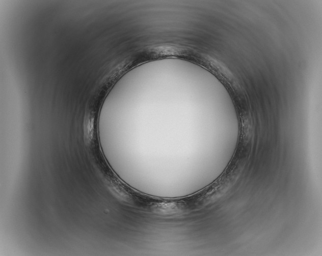 X0000112200406200908281443