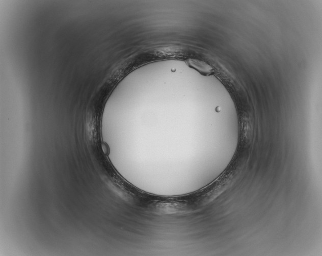 X0000112200408200908281443