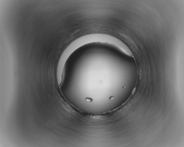 X0000112200409200908281443