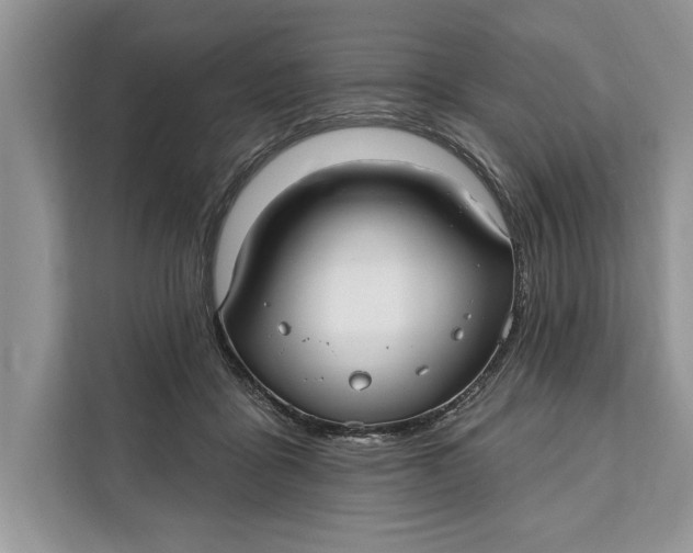 X0000112200411200908281443