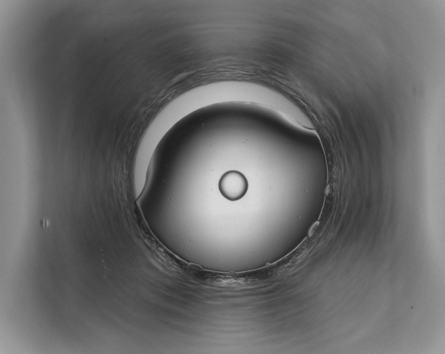 X0000112200413200908281443