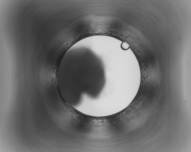 X0000112200415200908281443