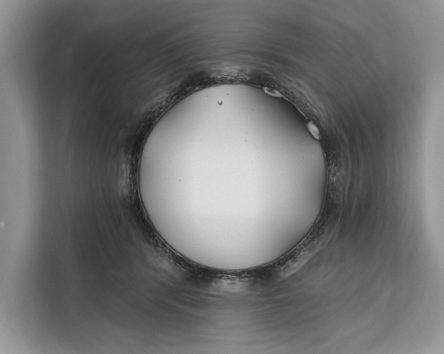 X0000112200416200908281443