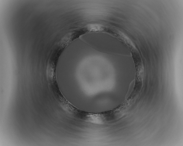 X0000112200417200908281443