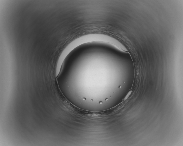 X0000112200419200908281443