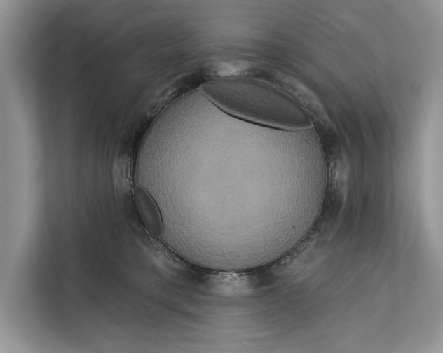 X0000112200421200908281443