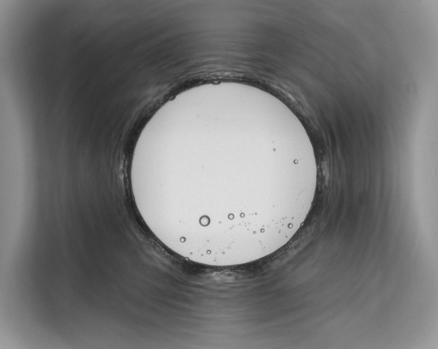 X0000112200423200908281443