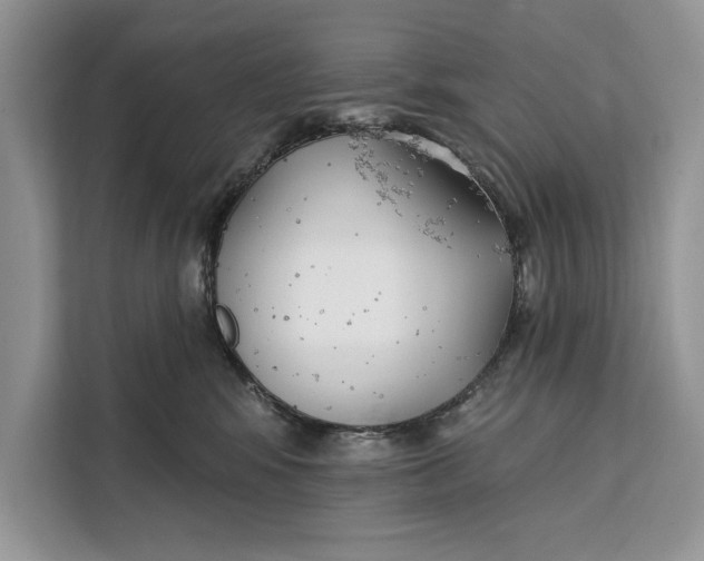 X0000112200424200908281443