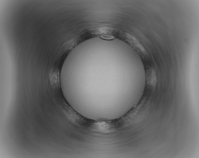 X0000112200425200908281443