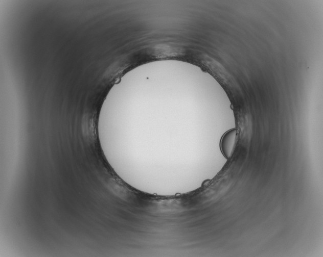 X0000112200426200908281443