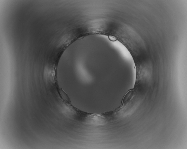 X0000112200427200908281443