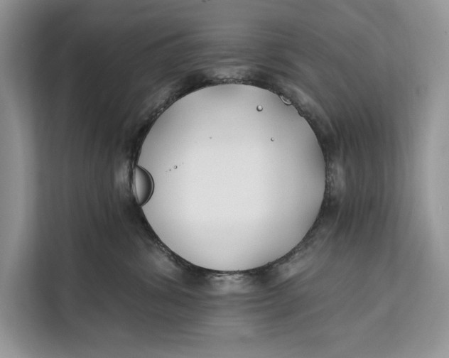 X0000112200428200908281443