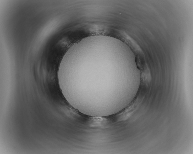 X0000112200429200908281443