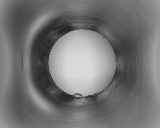 X0000112200430200908281443