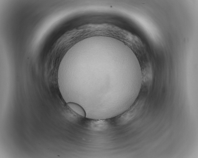 X0000112200431200908281443