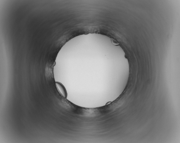 X0000112200432200908281443