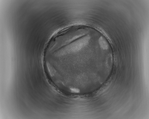 X0000112200434200908281442