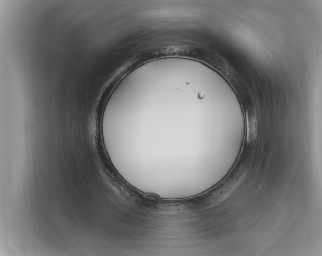 X0000112200435200908281442