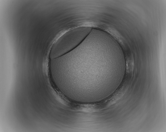 X0000112200436200908281442