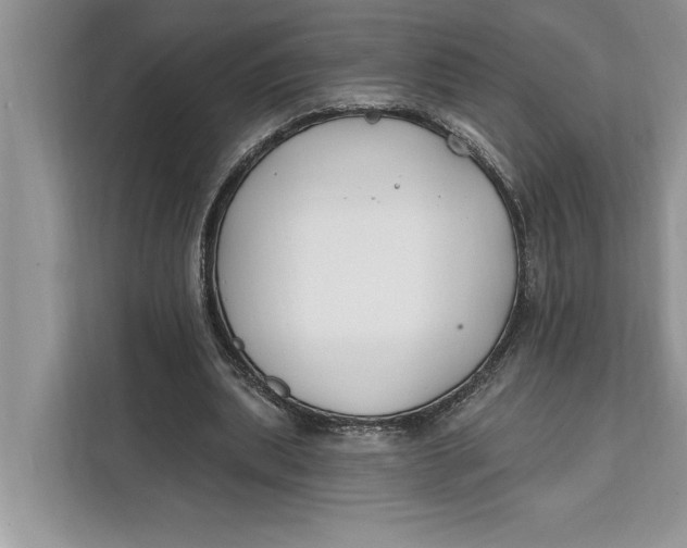 X0000112200439200908281442