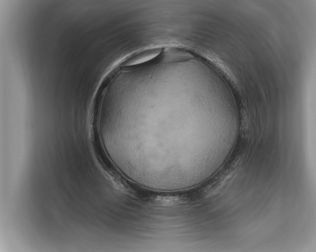 X0000112200440200908281442