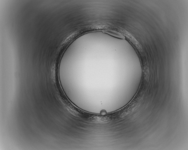 X0000112200442200908281442