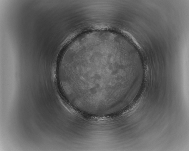 X0000112200443200908281442