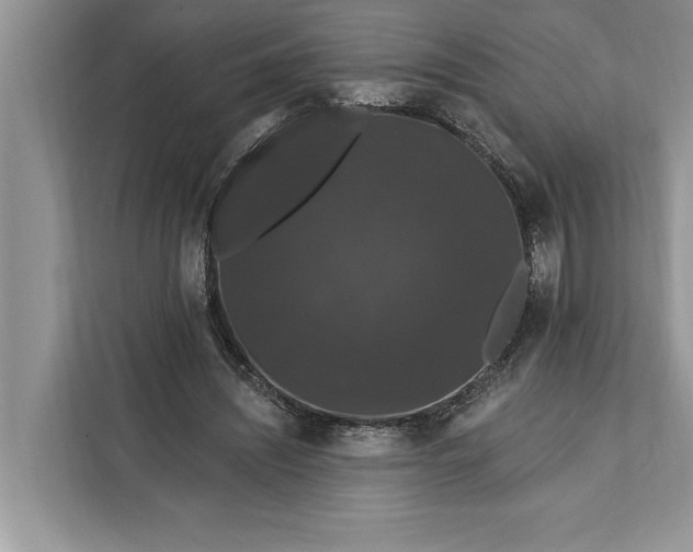 X0000112200444200908281442