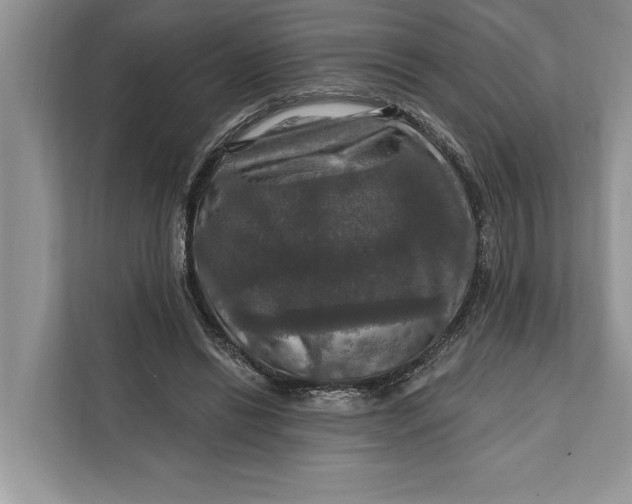 X0000112200446200908281442