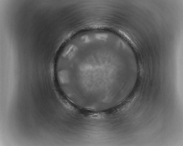 X0000112200447200908281442