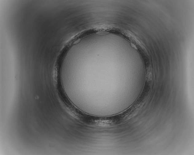 X0000112200448200908281442