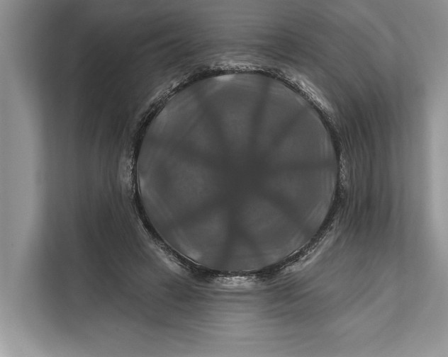 X0000112200449200908281442