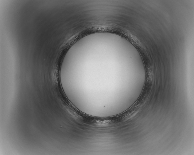 X0000112200450200908281443