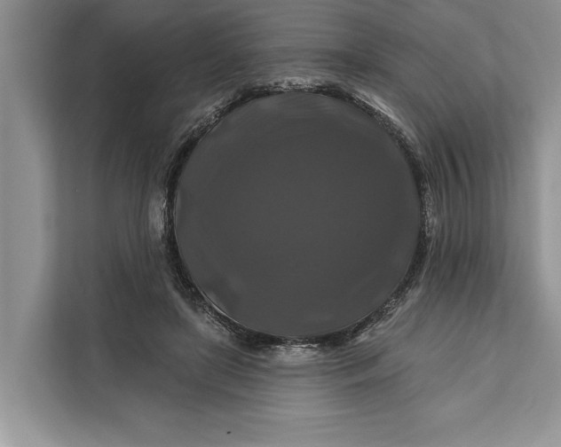 X0000112200451200908281443