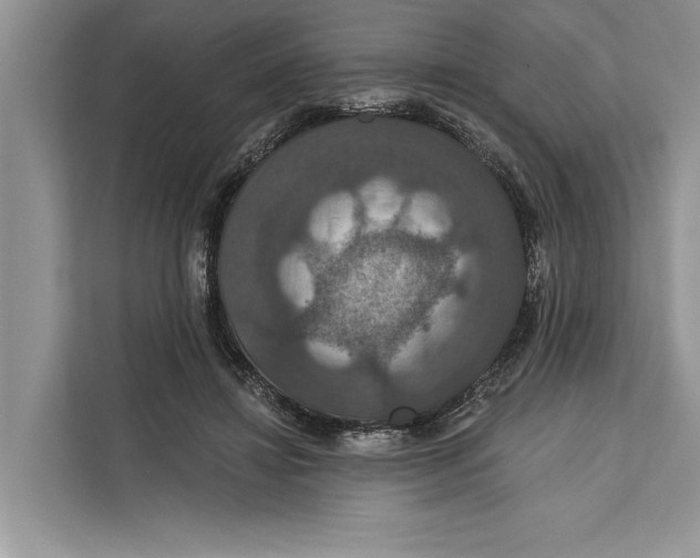 X0000112200452200908281443