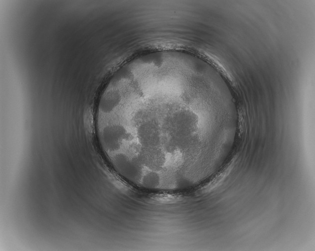 X0000112200453200908281443