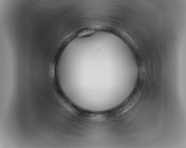 X0000112200454200908281443