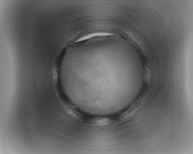 X0000112200456200908281443