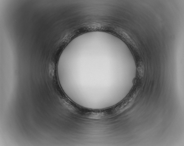 X0000112200458200908281443