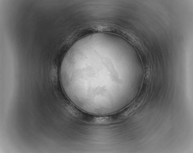 X0000112200461200908281443