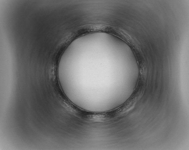 X0000112200462200908281443