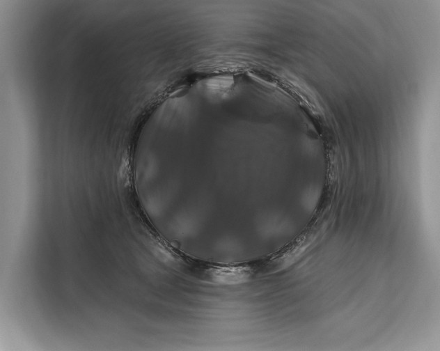 X0000112200465200908281443