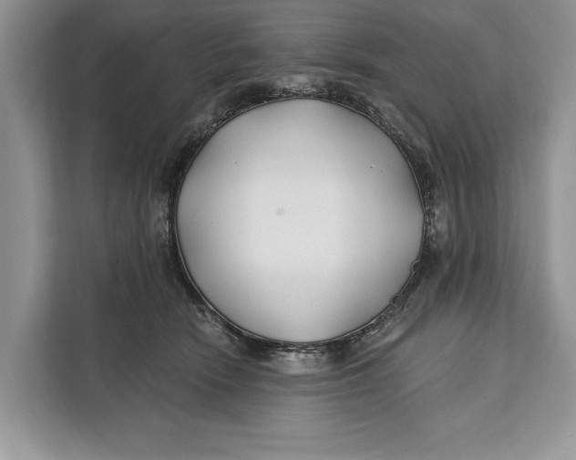 X0000112200466200908281443