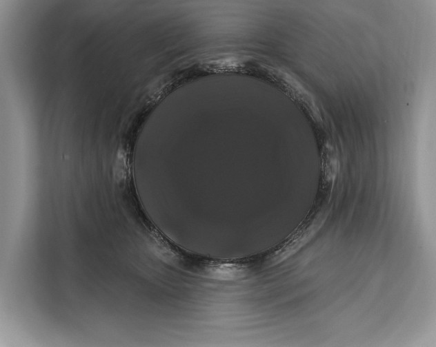 X0000112200467200908281443