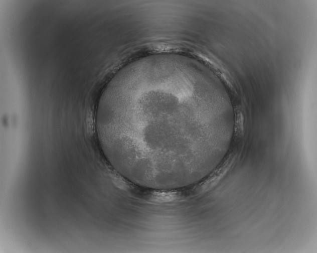 X0000112200469200908281443