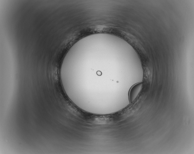 X0000112200470200908281443