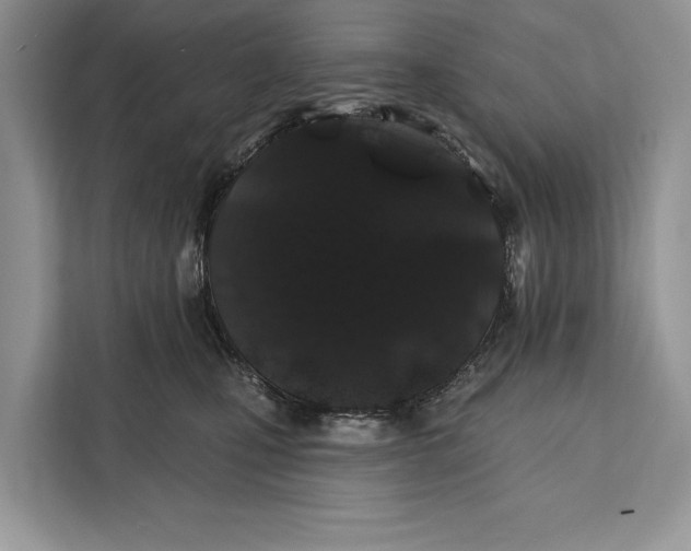 X0000112200471200908281443