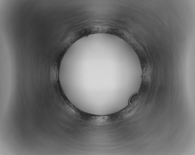 X0000112200474200908281443