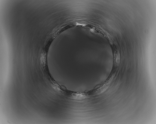 X0000112200475200908281443