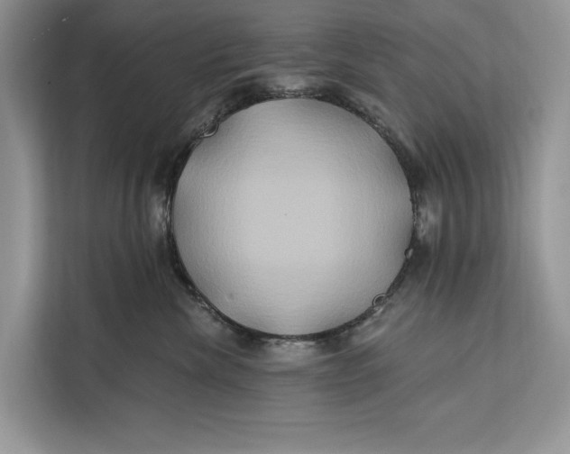 X0000112200476200908281443